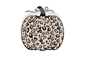 Set of Pumpkin with Cheetah Print illustration