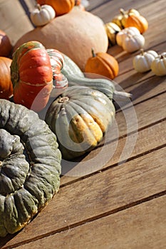 Set of pumpkins