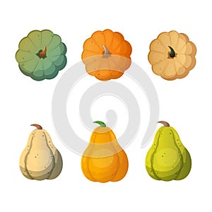 Set of pumpkins of different colours and sizes