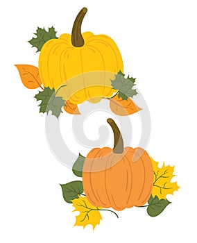 A set of pumpkins in fallen leaves. A collection of cartoon pumpkins. Autumn illustration. Vector print for postcard.