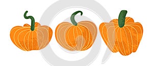 Set of pumpkins isolated on white background. Vectors pumpkins icons in flat cartoons style with texture.