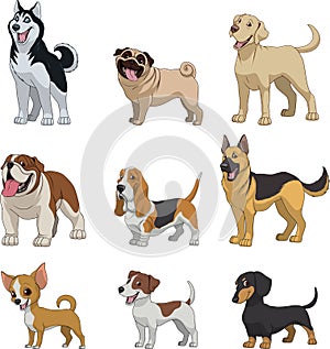 Set purebred dogs