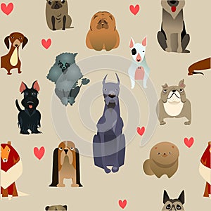 Set with purebred dogs photo