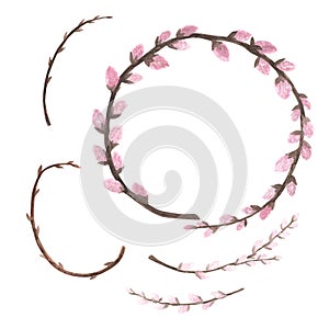 Set pussy willow branch watercolor isolated on white. Hand drawn illustration. Art for design card of flowering, spring
