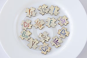 Set of puzzles on a plate with 13 essential micronutrients with multicolored inscriptions icons. Fe, Zn, I, Cu, Me, F photo