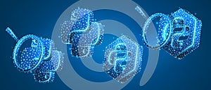 Set of Python coding language signs, with magnifying glass. Programming, developing concept. Low poly, wireframe 3d vector