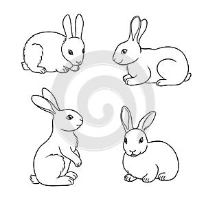 Set of Rabbits in contours - vector illustration