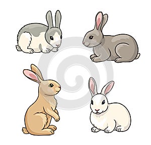 Set of Rabbits - vector illustration