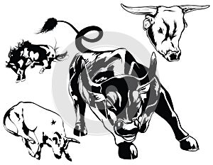 Set of Raging Bulls vector illustration poster template