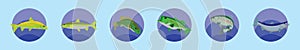 Set of rainbow trout fish cartoon icon design template with various models. vector illustration isolated on blue background