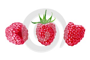 Set of Raspberry berries isolated on white background. Vector illustration