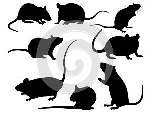 Set of Rat silhouette vector art