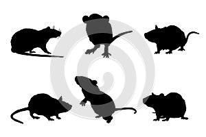 Set of rat silhouettes vector design