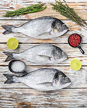 Set of raw dorado Sea bream fish with herbs for grill over white wood table top view