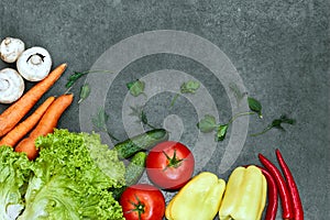 Set of Raw organic vegetables with fresh ingredients for healthily cooking on black  background, top view, banner.