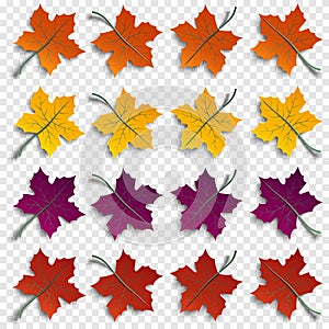 Set of realistic autumnal paper cut tree leaves with shadows isolated on transparent background, design elements for autumn season