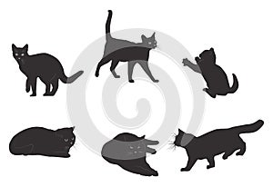 Set of realistic black cat silhouette