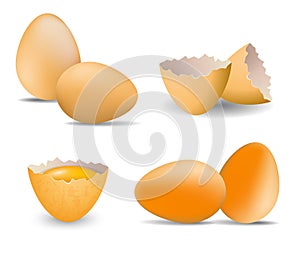 Set of realistic chicken egg farm broken or cracked egg with eggshell or hard boiled egg chicken or yellow fresh raw eggs.