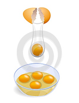 Set of realistic chicken egg farm broken or cracked egg with eggshell or hard boiled egg chicken or yellow fresh raw eggs. eps