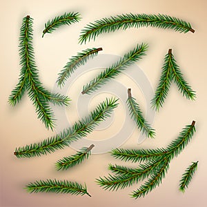 Set of realistic Christmas tree branches, pine, fir elements collection. Vector illustration