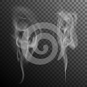 Set of realistic cigarette smoke waves. EPS 10 vector
