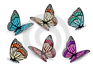 Set of realistic colorful butterflies.