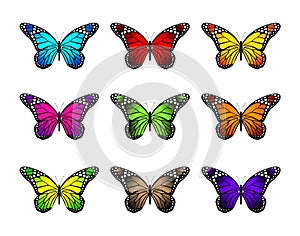 Set of Realistic Colorful Butterflies Isolated for Spring