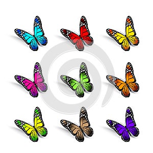 Set of Realistic Colorful Butterflies Isolated for Spring