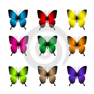 Set of Realistic Colorful Butterflies Isolated for Spring