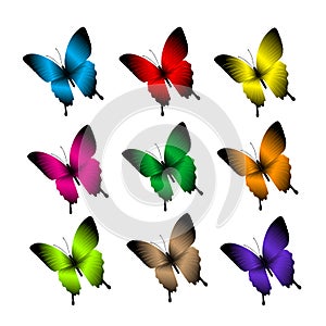 Set of Realistic Colorful Butterflies Isolated for Spring