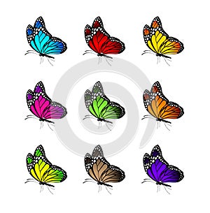 Set of Realistic Colorful Butterflies Isolated for Spring