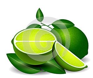 set of realistic fresh lime green isolated. 3D Illustration.