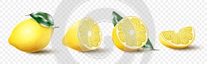 Set of realistic lemon with green leaf, whole and sliced, sour fresh fruits, bright yellow peel, lemons vector 3d illustration