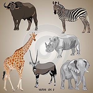 A set of realistic popular African animals - oryx, giraffe, elephant, zebra, rhino, buffalo