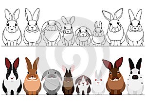 Set of realistic rabbits border photo