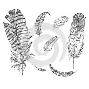 Set Realistic sketch of bird Feather on isolated background. Detailed ink Line pen Clip Art, Black and White Boho