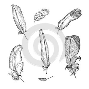Set Realistic sketch of bird Feather on isolated background. Detailed ink Line pen Clip Art, Black and White Boho