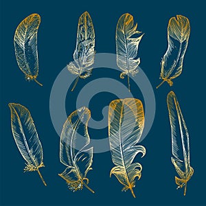 Set Realistic sketch of bird Feather on isolated background. Detailed ink Line pen Clip Art, Golden Plume Boho Clipart