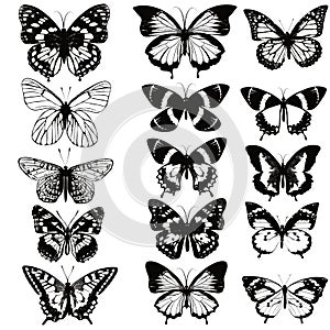 Set of realistic vector butterflies for design