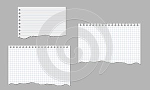 Set of realistic vector illustrations of torn sheets of lined and square paper isolated