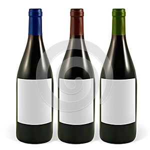Set realistic wine bottles photo
