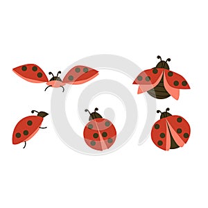 set of red bugs and beetles flying - vector illustration