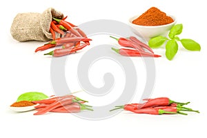 Set of red chili isolated on white