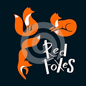 Set of Red Foxes Sitting and Looking Away, Lying and Walking. Vector Wild Foxy Logo. Laconic Symbol for Icons, Logos