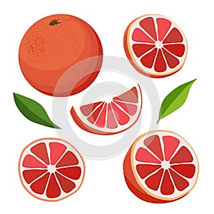 Set of red grapefruit and slices. Isolated vector sliced fruit in flat style. Clipart for design