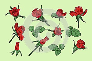 Set of red hand drawn vector roses with leaves