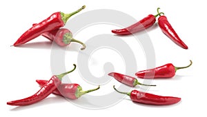 Set of Red hot chilli peppers isolated photo