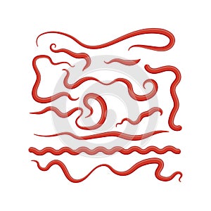 Set of Red Ketchup Splashes. Tomato Sauce for Barbecue. Food Condiment and Spice. 3d Illustration. Blobs and Drops.