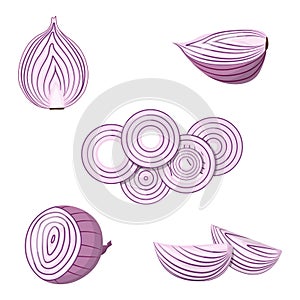 A set of red onions. Onion cut in half and slices, onion rings. Isolated vector illustration.