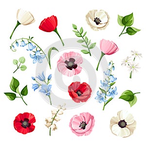 Set of red, pink, blue and white flowers isolated on white. Vector illustration. photo